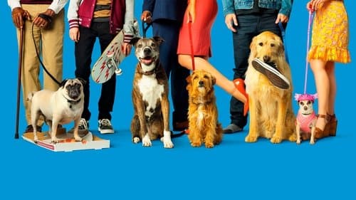 Production update: Dog Days