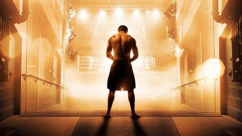 Watch Warrior