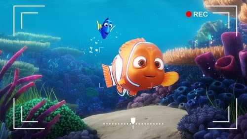 Watch Dory's Reef Cam
