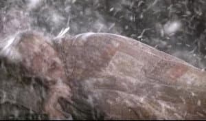 No One to Watch Over Me (1)