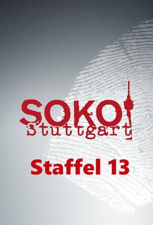 Season 13