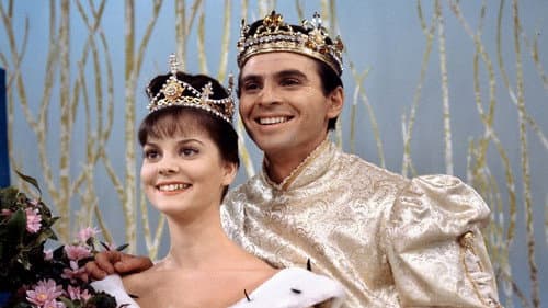 Production update: Cinderella