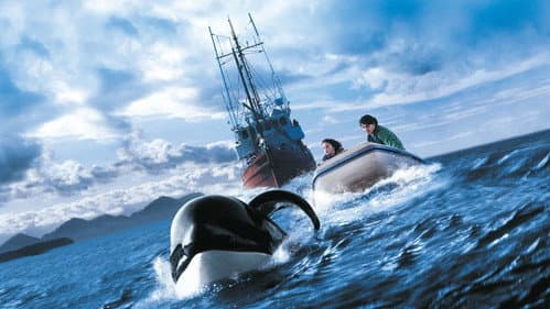 Watch Free Willy 3: The Rescue