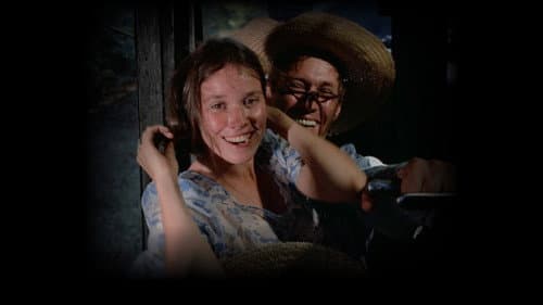 Watch Boxcar Bertha