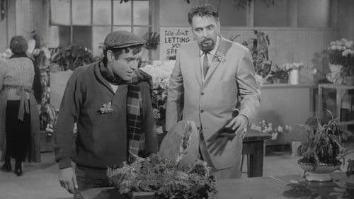 Watch The Little Shop of Horrors