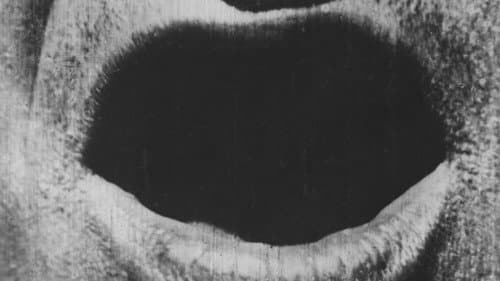 Production update: The Big Swallow